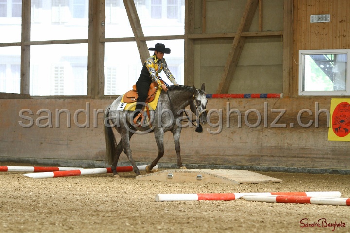 26-ApHC GT_231.jpg